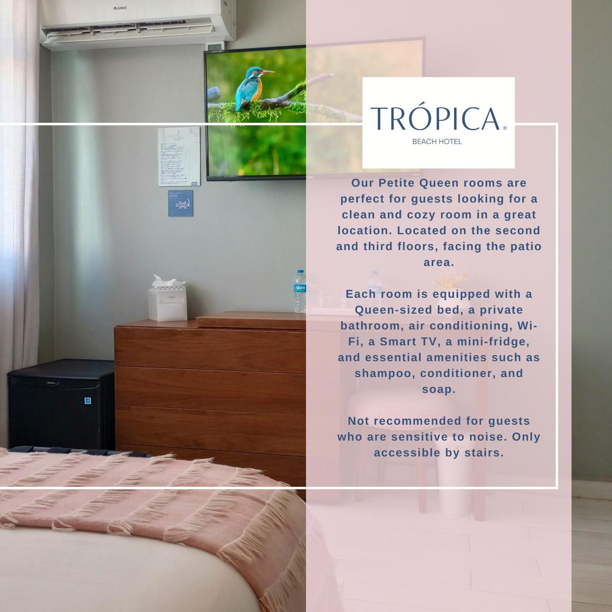 Tropica Beach Hotel (Adults Only) San Juan Værelse billede